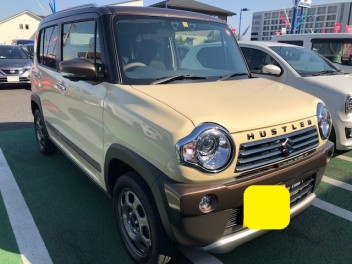 可愛らしいワンダラーご納車です❤